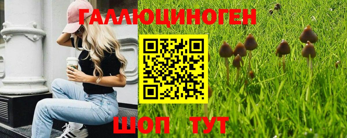 Псилоцибиновые грибы GOLDEN TEACHER  Галлюциногенные грибы Cubensis  продажа наркотиков  Обь  Вход с VPN 